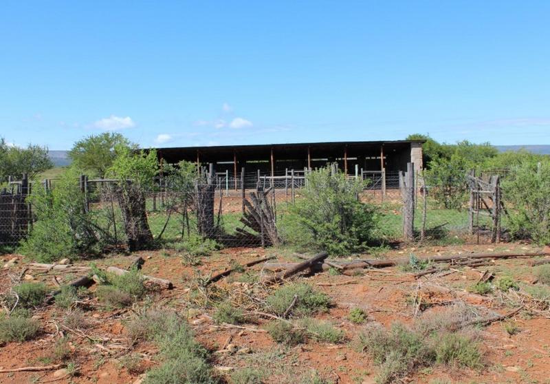 4 Bedroom Property for Sale in Grahamstown Eastern Cape